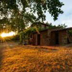 Exterieurfotografie eines Schön alten Ferienhauses mit Weinreben in der Toskana zum Sonnenuntergang fotografiert