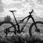 Produktfoto eines Mountainbikes mit Blumen und Allgäuer Bergen im Hintergrund