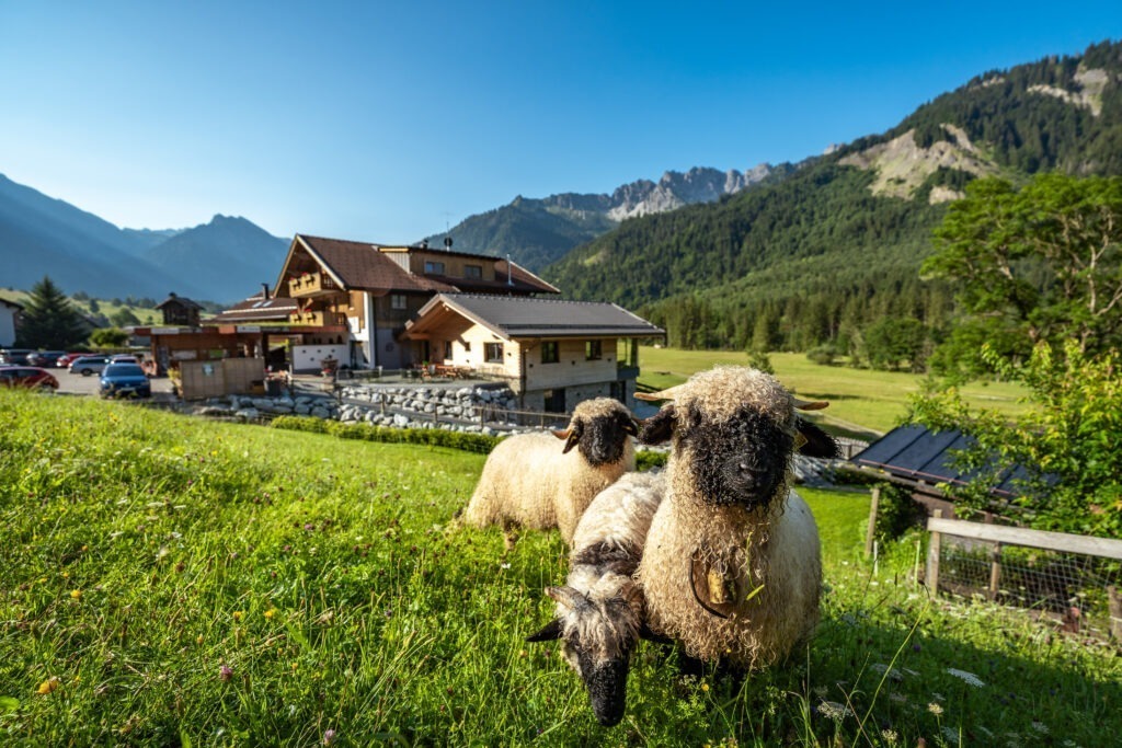 Professionelle Interiorfotografie einer Ferienwohnung von Leo Schindzielorz, modernes und stilvolles Design für Hotelfotografie und FeWo-Vermarktung. Hochwertige Einrichtung und harmonische Farbgestaltung.